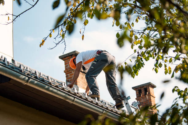 Best Cold Roofs  in Winthrop, MN