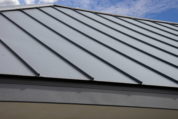 Best 4 Ply Roofing  in Winthrop, MN